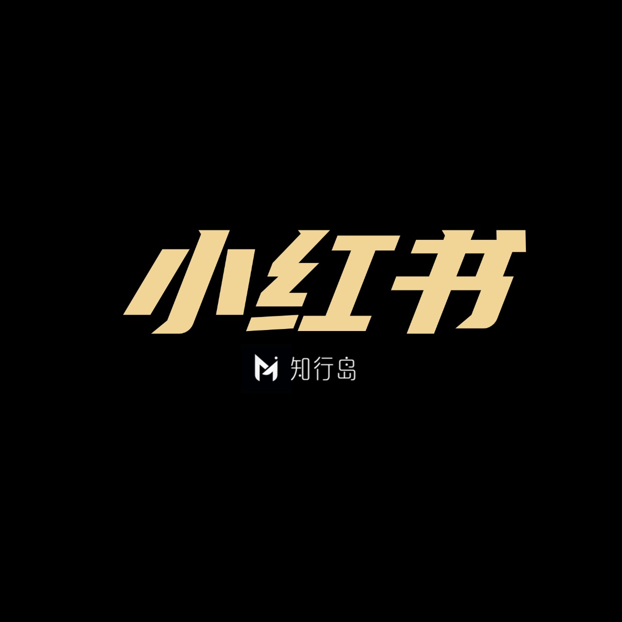 专题  小红书-望月知行岛